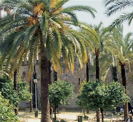 Nh Collection Palacio De מלון