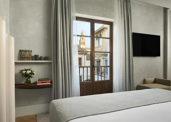 Nh Collection Palacio De Hotel 5*